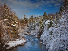 St. John's, Bowring Park winter